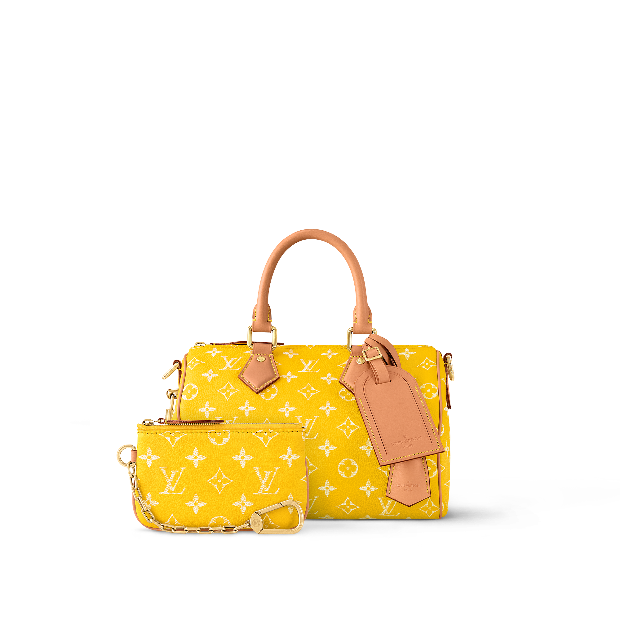 Speedy P9 Bandoulière 25 H40 in Les Extraordinaires's Leather Goods and Travel Speedy P9 collections by Louis Vuitton (Product zoom)